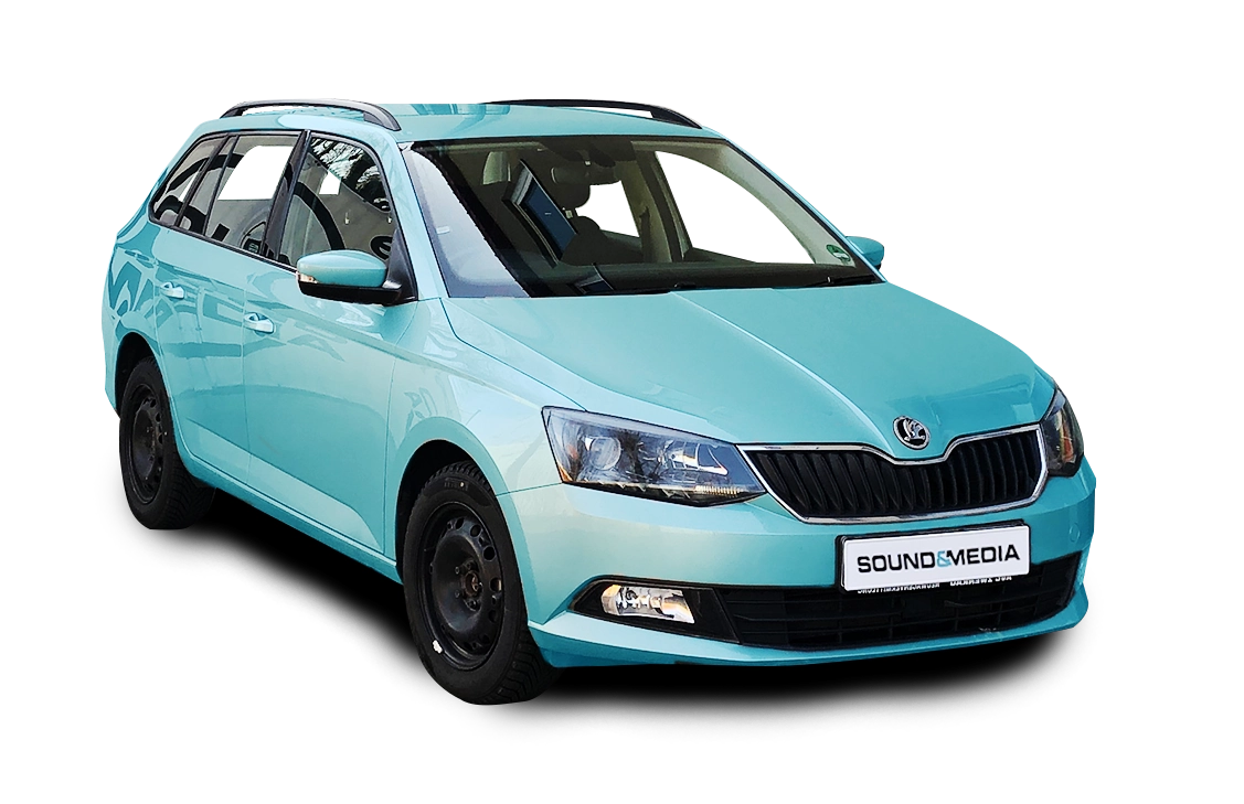 Skoda Fahrzeug